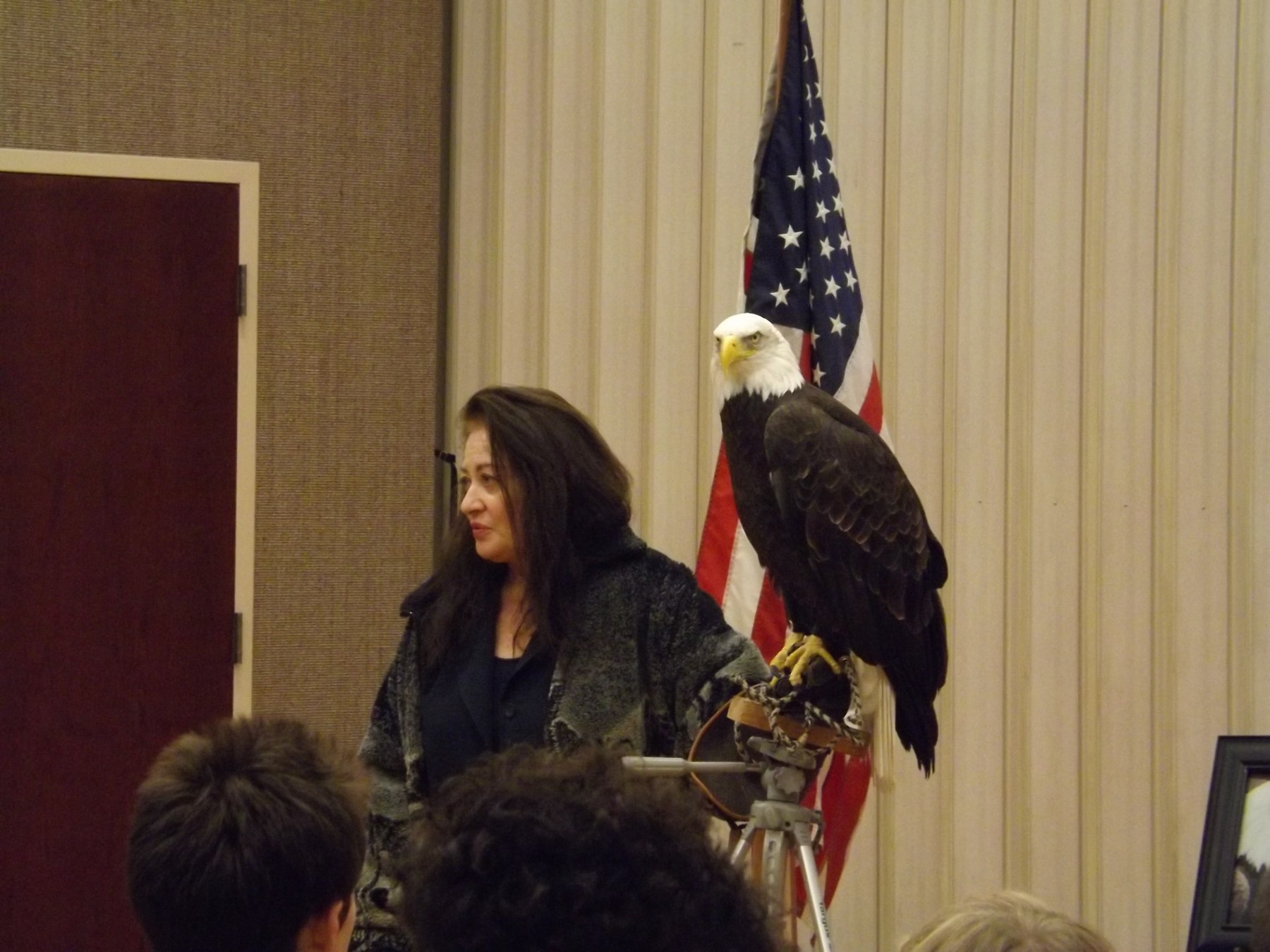 Public Bald Eagle program with a patriotic backdrop